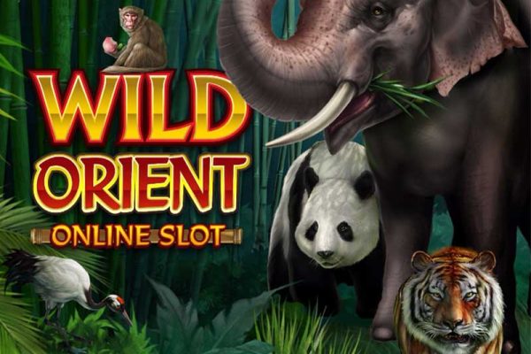 Slot Wild Orient