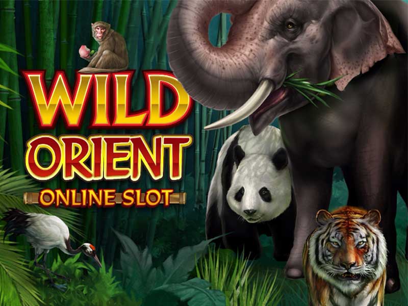 Slot Wild Orient